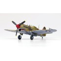 Maquette d'avion en plastique Tomahawk IIB Africa 1/48 Maquette d'avion en plastique Tomahawk IIB Africa 1/48