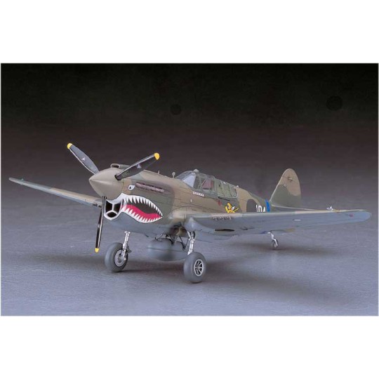 Maquette d'avion en plastique P40 E WARHAWK (JT86) 1/48