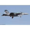 Maquette d'avion en plastique F/A-18E Chippy Ho 2014 1/72 Maquette d'avion en plastique F/A-18E Chippy Ho 2014 1/72
