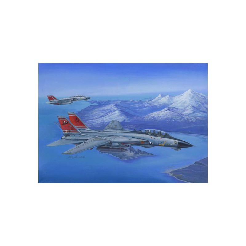 Maquette d'avion en plastique F-14D Super Tomcat 1/48