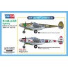 Maquette d'avion en plastique P-38L-5-LO Lightning 1/48