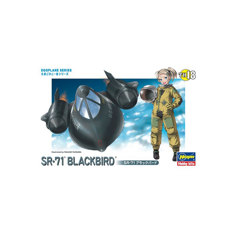 Maquette d'avion en plastique EGG SR-71 BLACKBIRD