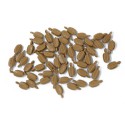 Accastillage de bateau Poulies simples 7mm (50 pcs) Accastillage de bateau Poulies simples 7mm (50 pcs)