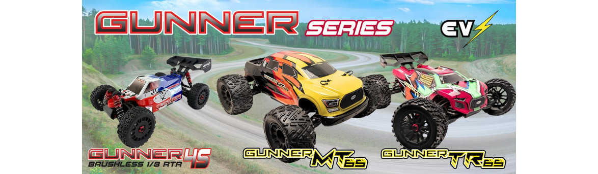 Coche de control remoto eléctrico o de gasolina